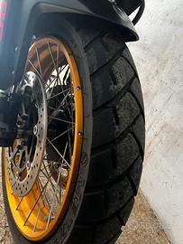 QJ MOTOR SRT 800SX 2025