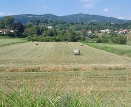 Terreno agricolo