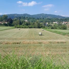 Terreno agricolo