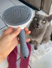 Spazzola per cani e gatti