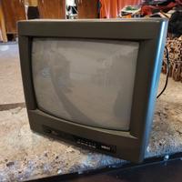 Televisione Vintage Seleco 14" a colori 