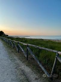 Bibione