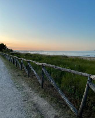 Bibione