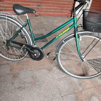 bici 26" vicini