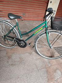 bici 26" vicini