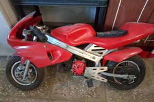 Minimoto