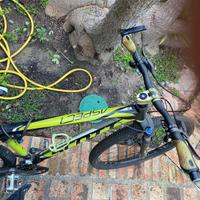 Mountain bike scott