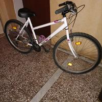 MTB ROCKRIDER 5.0 (prezzo onesto)