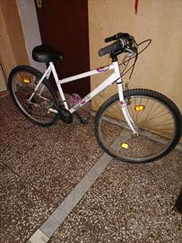 MTB ROCKRIDER 5.0 (prezzo onesto)