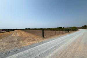 Terreno agricolo Maracalagonis