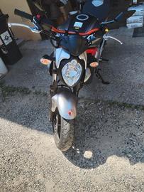 Suzuki Gladius 650, anno 2010