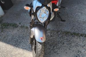 Suzuki Gladius 650, anno 2010