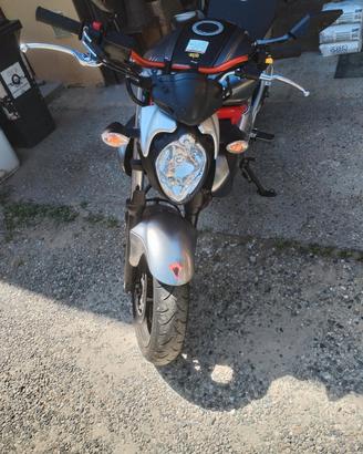 Suzuki Gladius 650, anno 2010