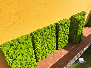 Muschio stabilizzato eterno