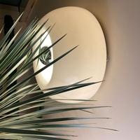 Lampada Velella Flos