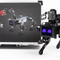 Cane robot CM4 XGO-Lite