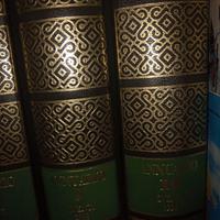 Enciclopedia Peruzzi Larousse