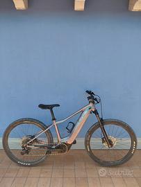 ebike liv
