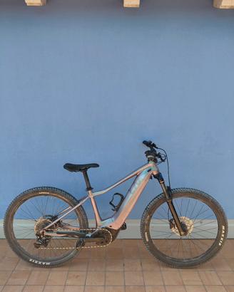 ebike liv