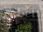 Immagine 11