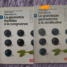 Libri superiori Geometria