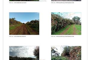 Terreno Agricolo Artena [A4298023]