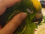 Immagine 2