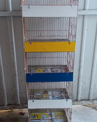  gabbia per canarini 