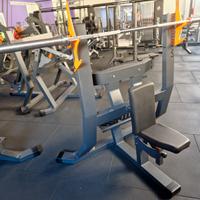 Shoulder Bench Lacertosus Panca no technogym