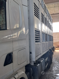 Camion trasporto bestiame Scania 460