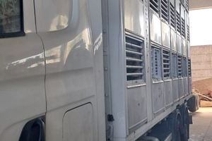 Camion trasporto bestiame Scania 460