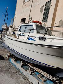 Gozzo bimotore Delfino 25 Cabin