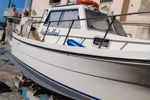 Gozzo bimotore Delfino 25 Cabin