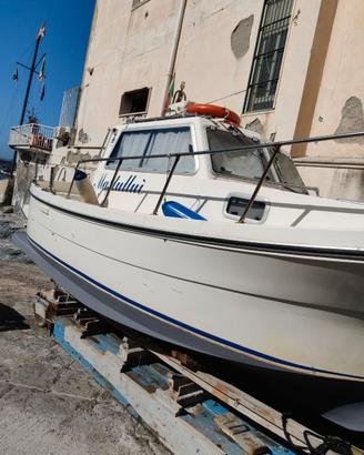 Gozzo bimotore Delfino 25 Cabin