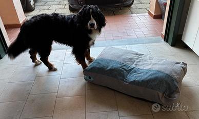 Materasso cani taglia S M L