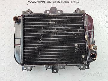 RADIATORE ACQUA KAWASAKI KLE 500 1999 2002 KLE500