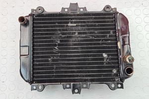 RADIATORE ACQUA KAWASAKI KLE 500 1999 2002 KLE500