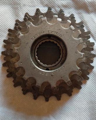 pignone regina extra 6 velocità 