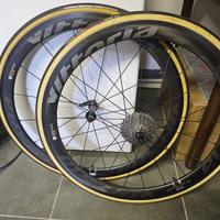 Ruote Vittoria Qurano