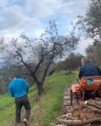 Legna da ardere dimensione stufa con Consegna