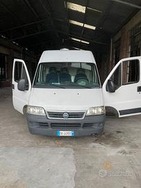 Fait ducato 2006