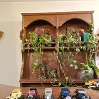 Modelli d'auto d'epoca in confezione originale