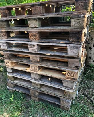 Europallet