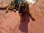 Immagine 2