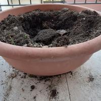 ciotola molto grande resina