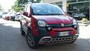 fiat-panda-cross-1-3-mjt-95-cv-s-s-4x4