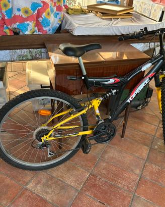 Bicicletta da uomo