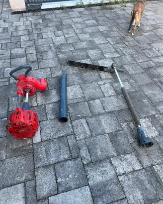 Soffiatore EFCO con accessorio tagliasiepe