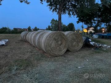 Balloni di fieno