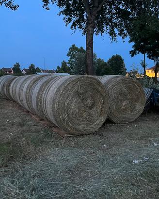 Balloni di fieno